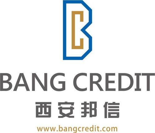 西安邦信商務(wù)信息咨詢