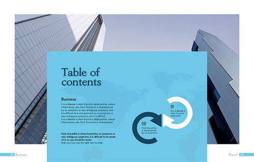 現(xiàn)代國際商務貿易企業(yè)宣傳產品業(yè)務科技會展畫冊設計